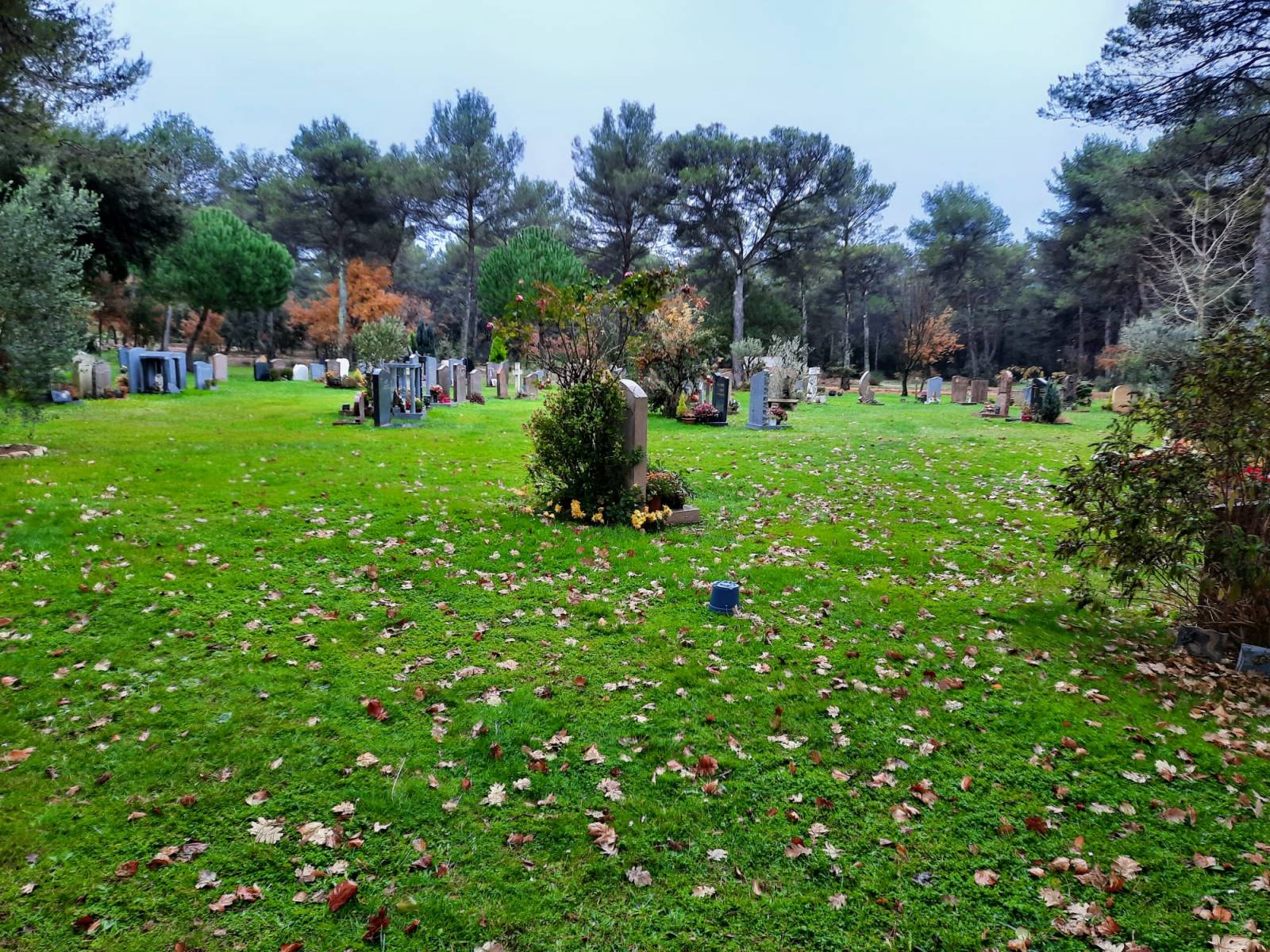 Organiser une cérémonie laïque pour l'enterrement d'une personne âgée à Bouc-Bel-Air