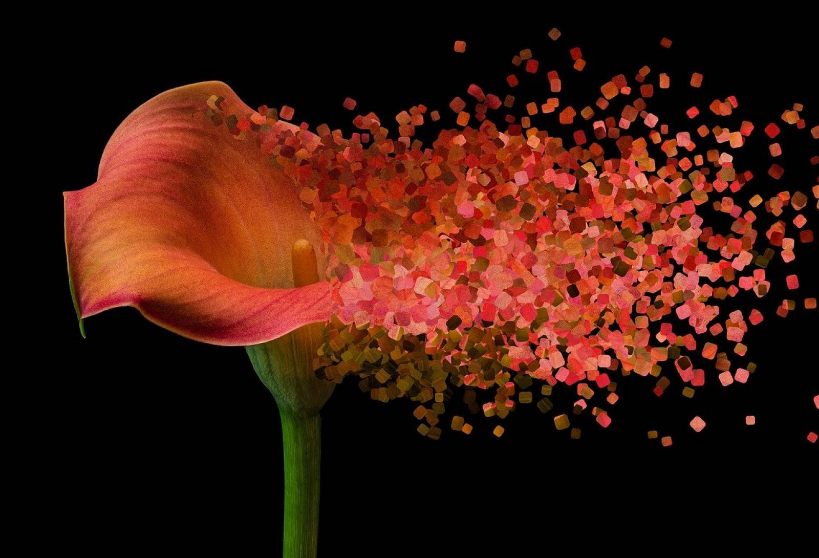 Pompes funèbres à Aix-en-Provence 13100 pour organisation d'enterrement