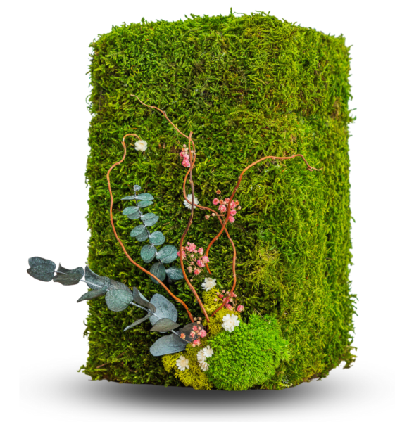 urne écologique végétale aix en provence