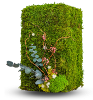 Services de notre agence funéraire près de Fuveau